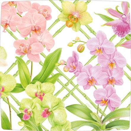 Orchid Conservatory Salad & Dessert Plates